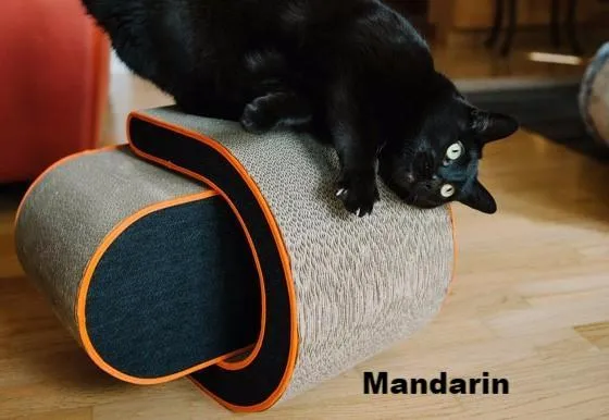 Arty Cat Scratcher & Lounger