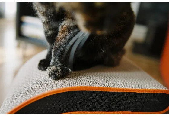 Arty Cat Scratcher & Lounger
