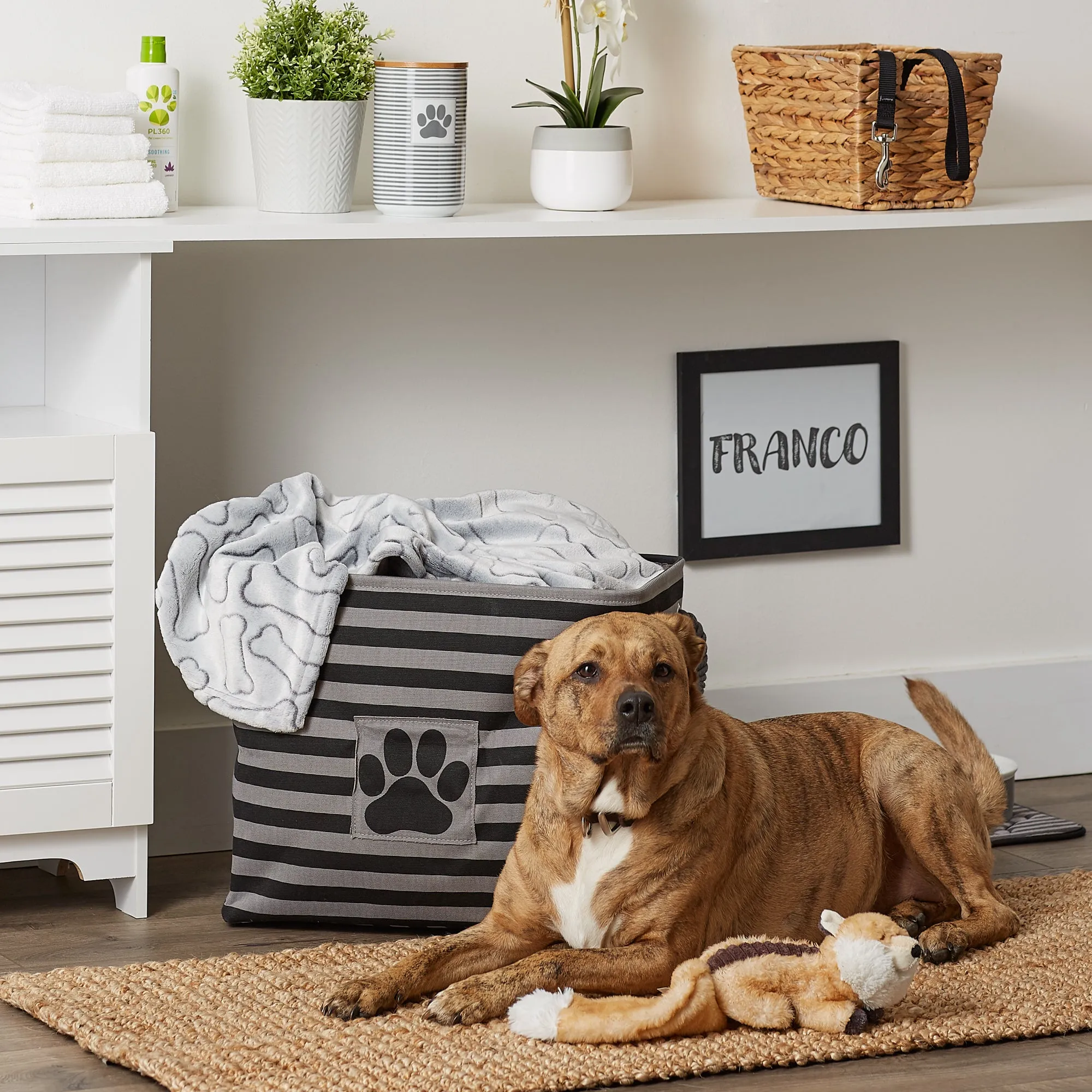 Bone Dry Pet Storage Bin, Striped Paw Patch, Black, Large - 17.5x12x15"