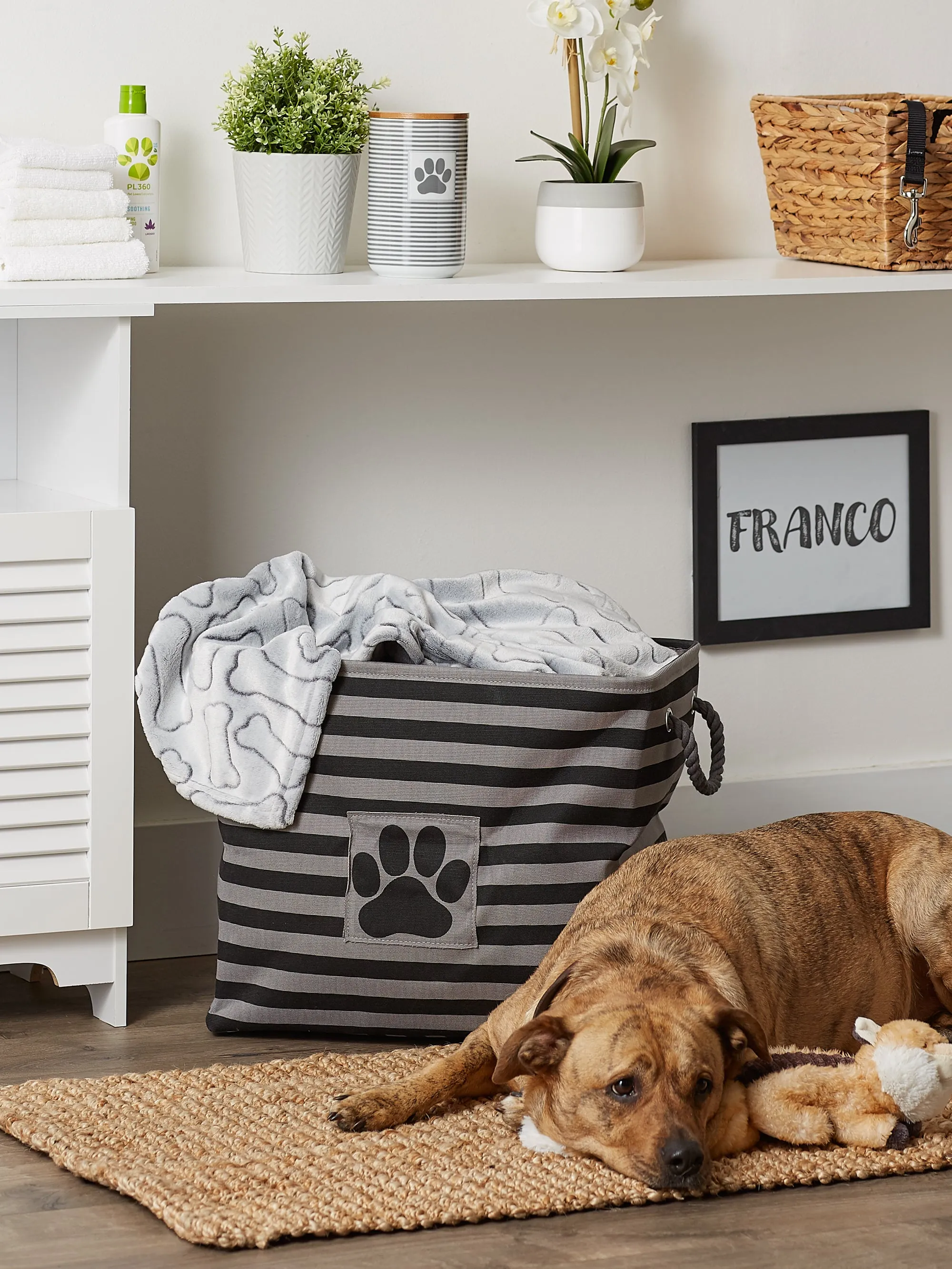 Bone Dry Pet Storage Bin, Striped Paw Patch, Black, Large - 17.5x12x15"