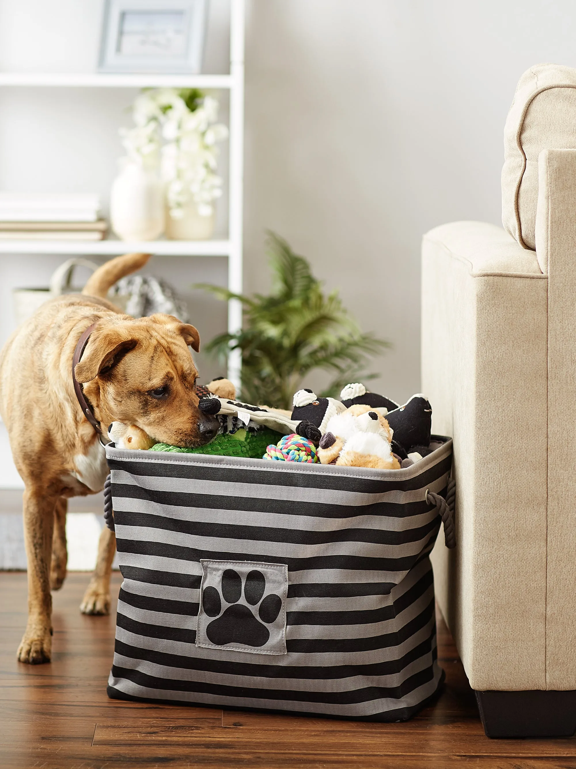 Bone Dry Pet Storage Bin, Striped Paw Patch, Black, Large - 17.5x12x15"