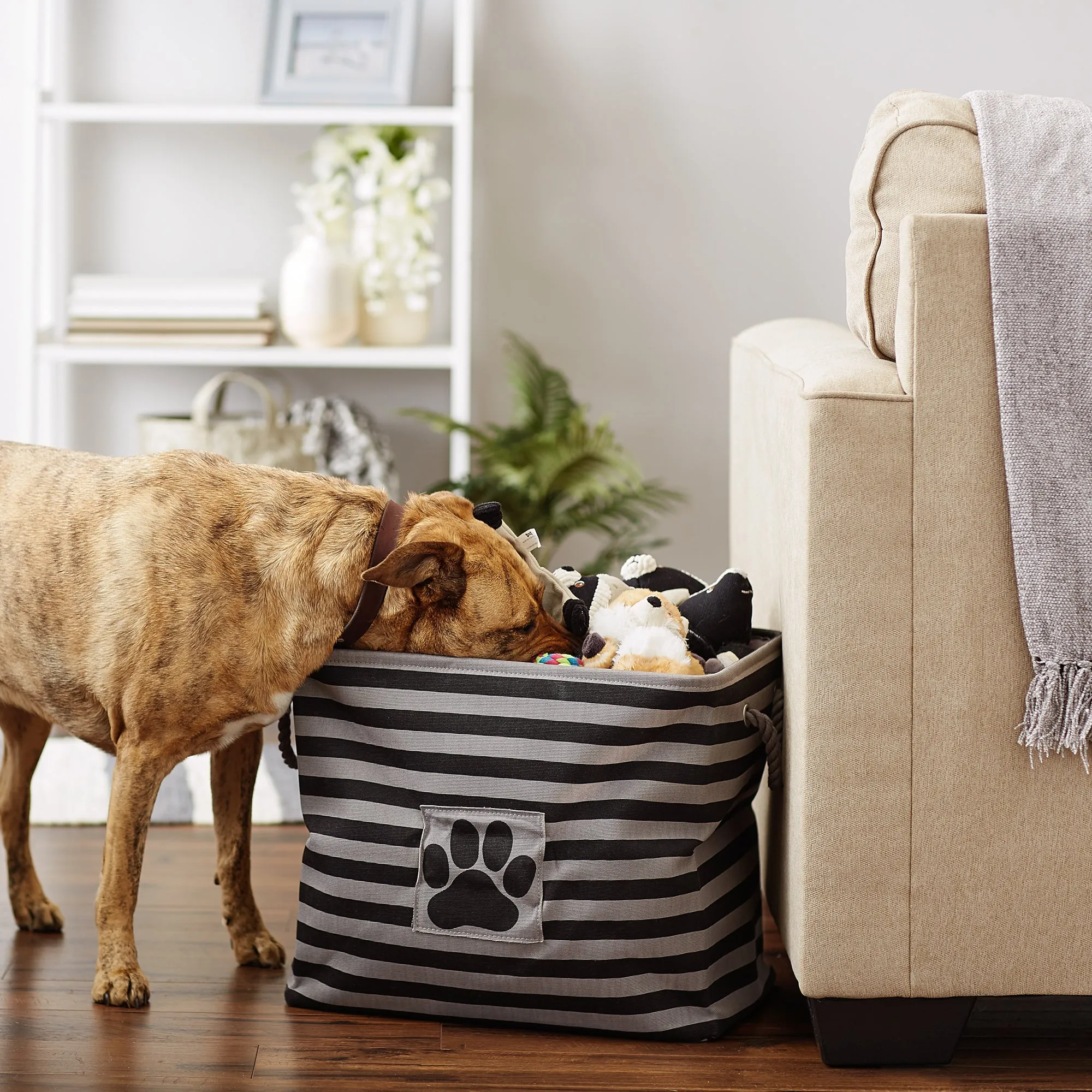 Bone Dry Pet Storage Bin, Striped Paw Patch, Black, Large - 17.5x12x15"