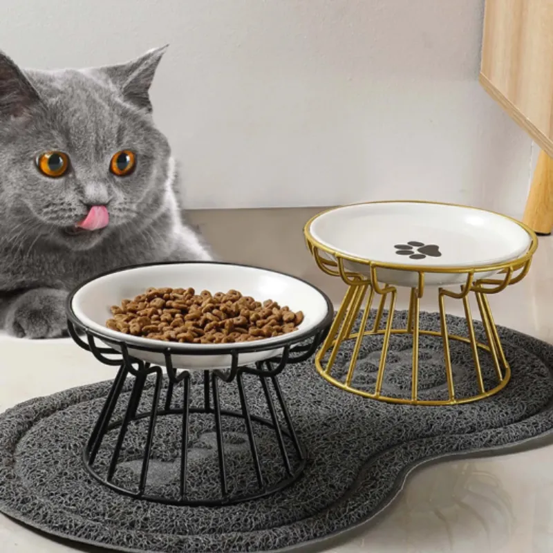 Ceramic Bowl with Wire Stand