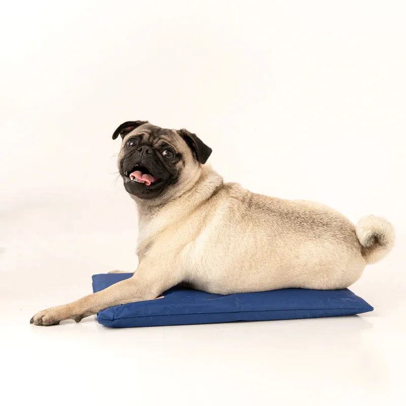 CoolerDog Mini Hydro Cooling Mat