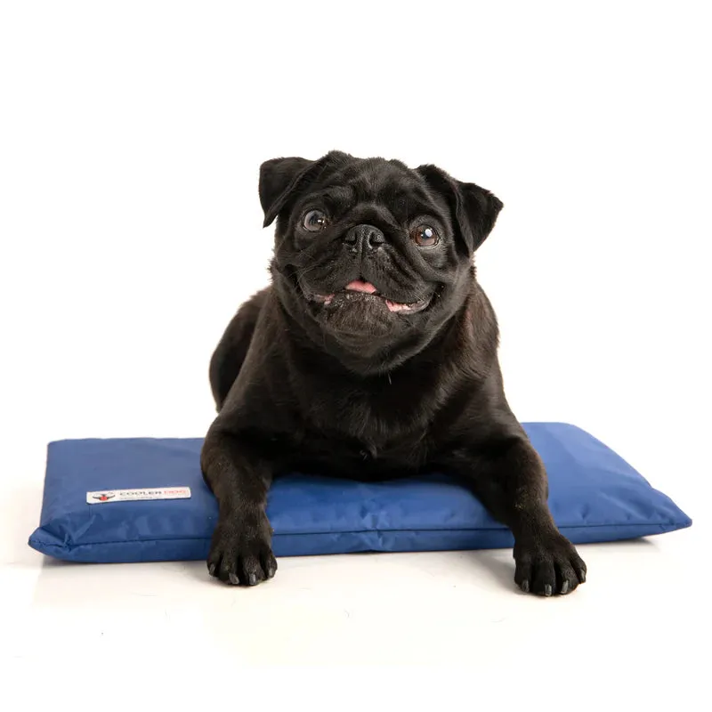 CoolerDog Mini Hydro Cooling Mat