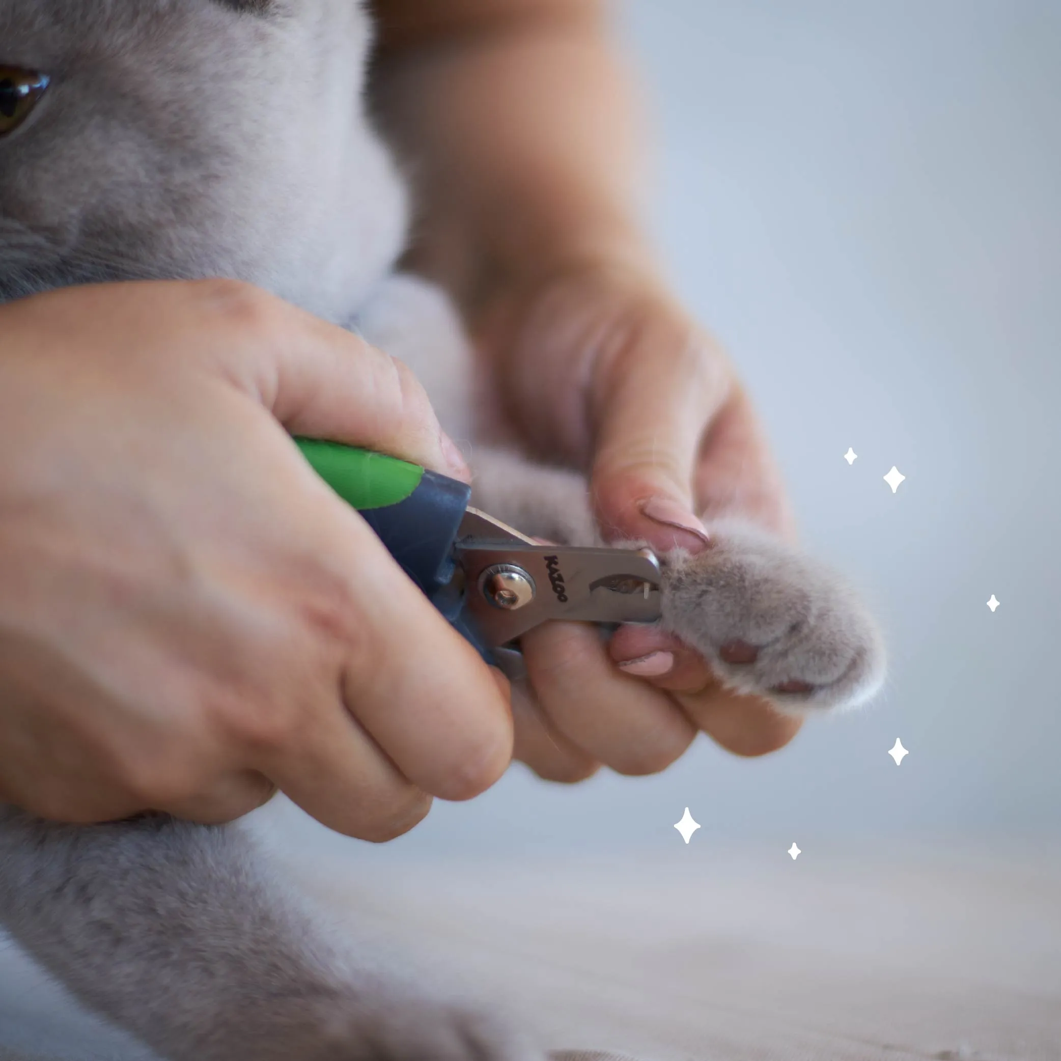 Deluxe Nail Clipper