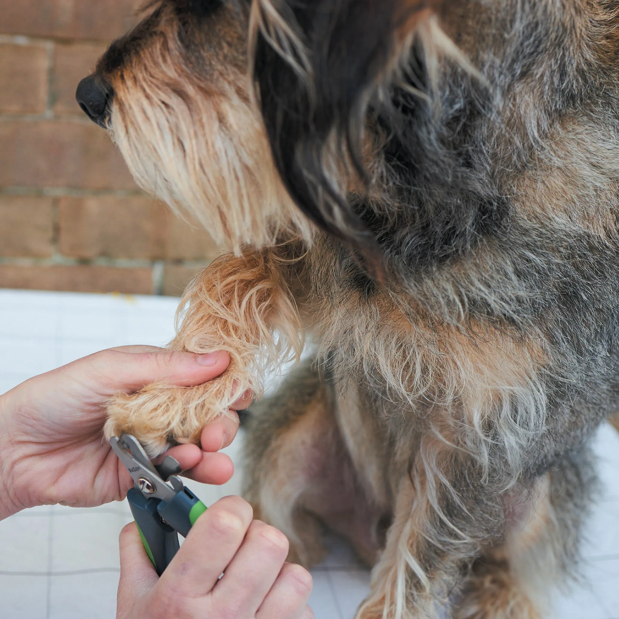 Deluxe Nail Clipper