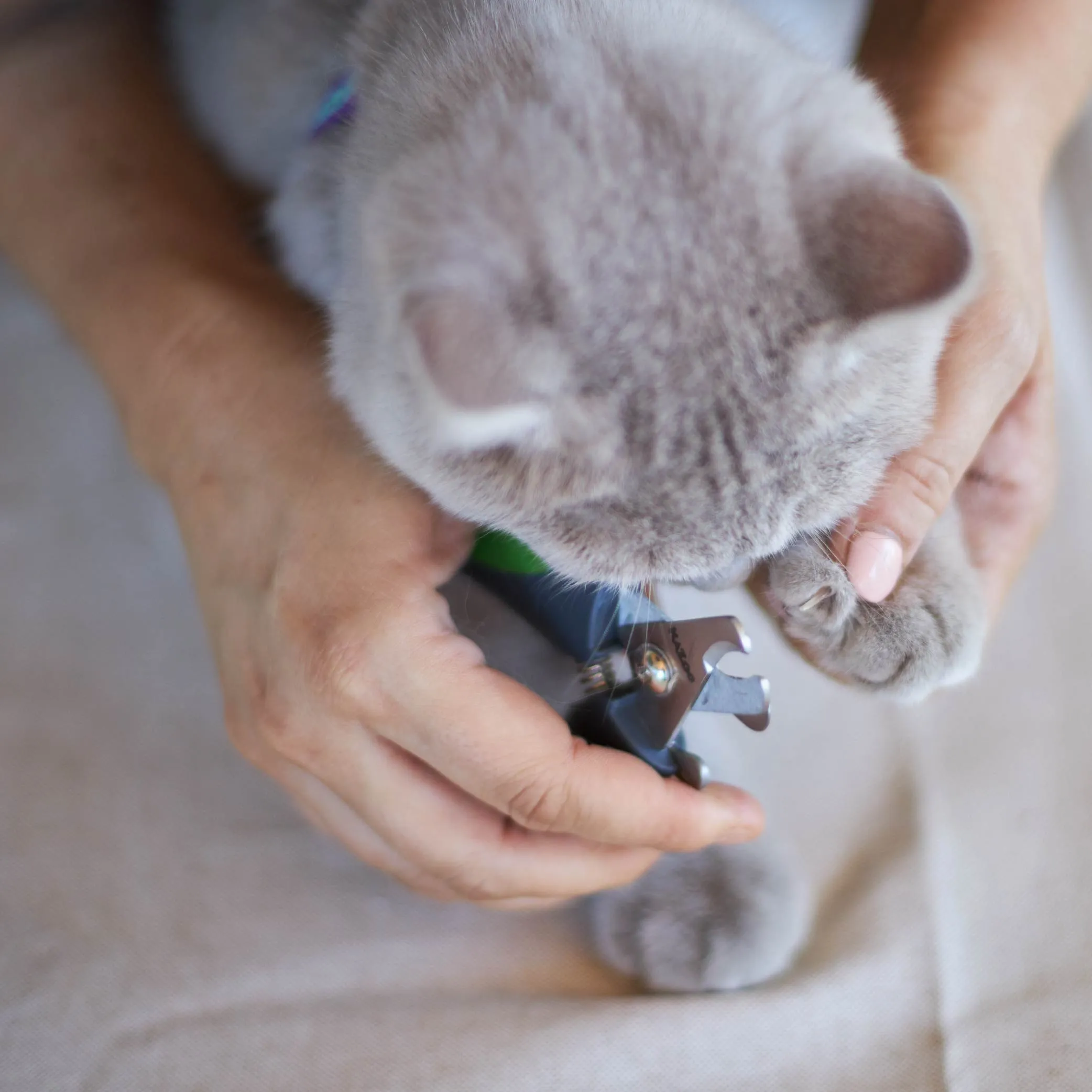 Deluxe Nail Clipper