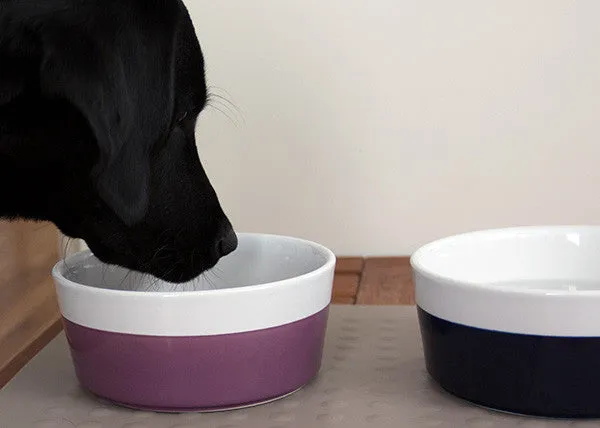 Dipper Ringwear - Dog Bowl - 5 Color Options