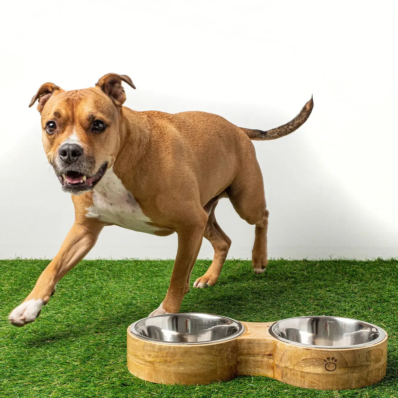 Figure-8 Pet Feeder
