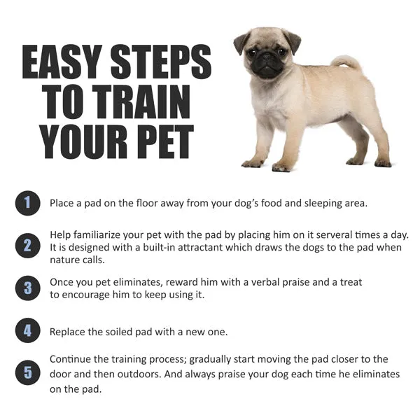 Fluffy Ventures Disposable Potty Training Pee Pads - Dog and Puppy, 28" x 34", 40/320/1600 Count, Bulk