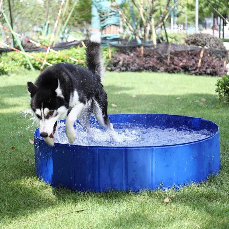 Foldable Pet Pool