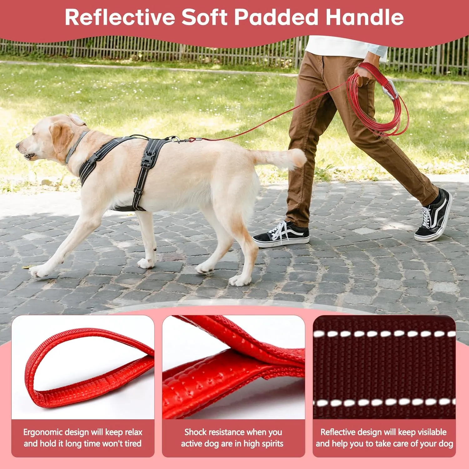 Heavy Duty Dog Leash - Chew Proof Tie Out Cable with Carabiner, 10/20/30/50 ft, Padded Handle for Medium Large Dogs