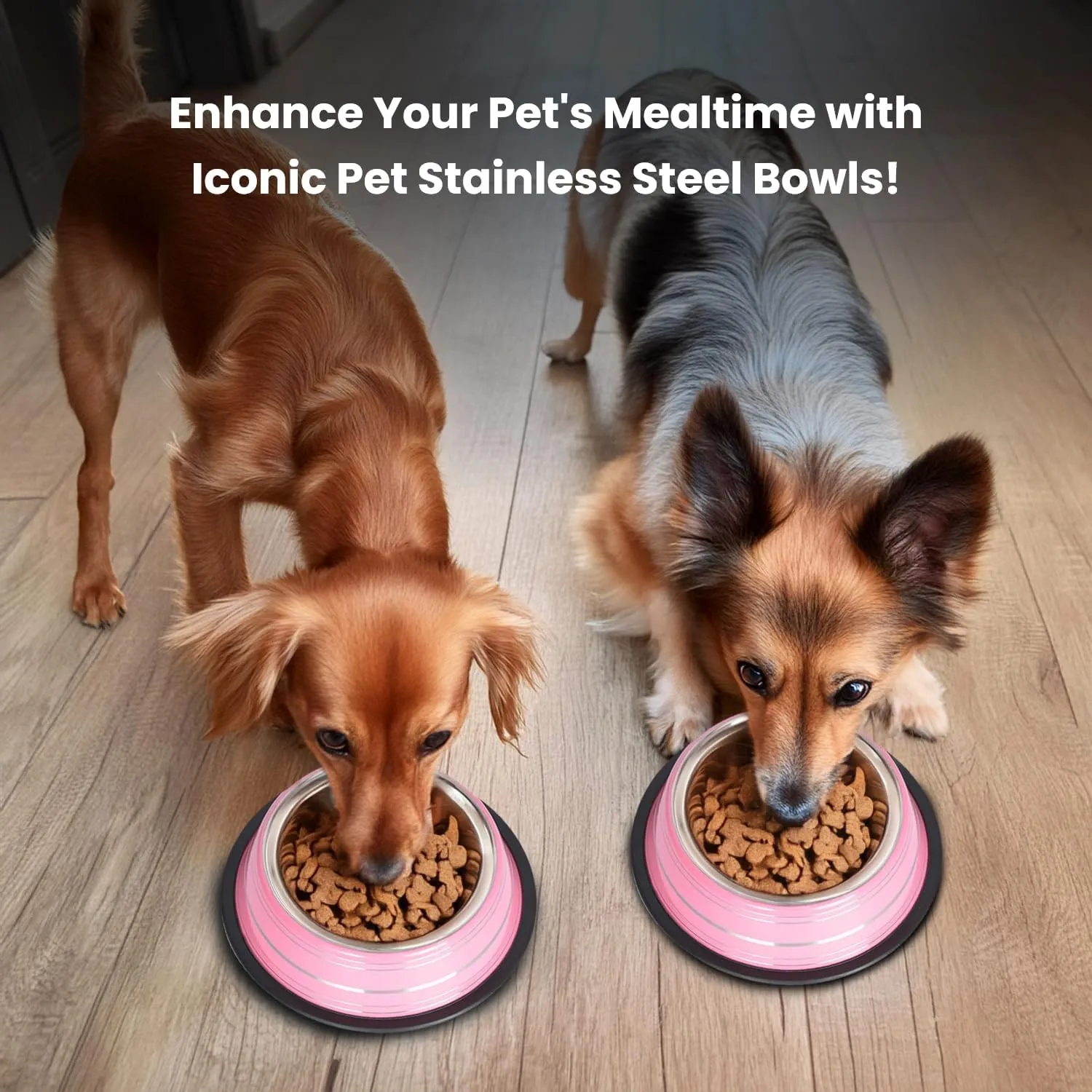 Iconic Pet 3 Cup/24 Oz Elegant Stainless Steel Color Splash Food/Water Bowl with Non Skid, Noise Free, Removable Rubber Ring - Dog/ Cat Feeding Bowl In color shade, Dishwasher Safe - Pink, 2 Bowls