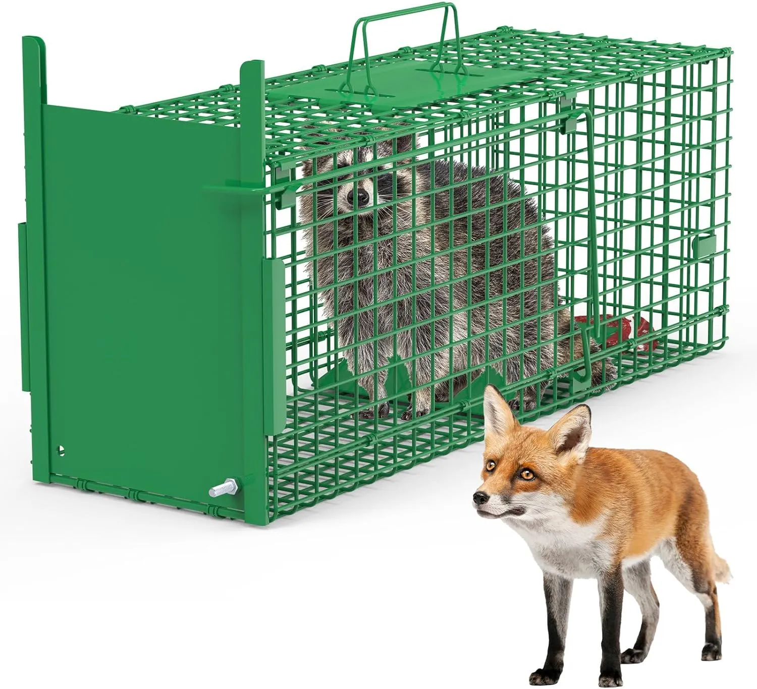 iMounTEK Humane Trap Cage 30in 1 Door Live Animal Cage Trap for Animals Under 5LBS Easy to Setup Humane Galvanized Iron Trap Cage for Small Cats Rabbits Squirrels Moles Chipmunks Possums