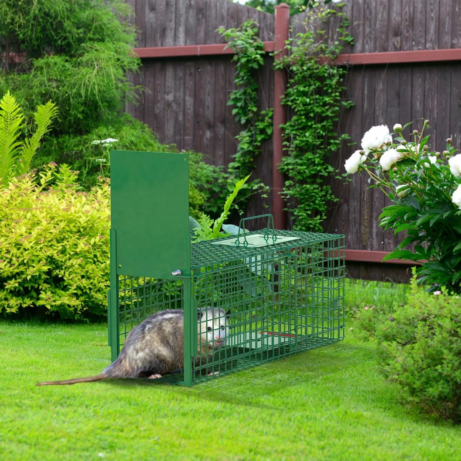 iMounTEK Humane Trap Cage 30in 1 Door Live Animal Cage Trap for Animals Under 5LBS Easy to Setup Humane Galvanized Iron Trap Cage for Small Cats Rabbits Squirrels Moles Chipmunks Possums