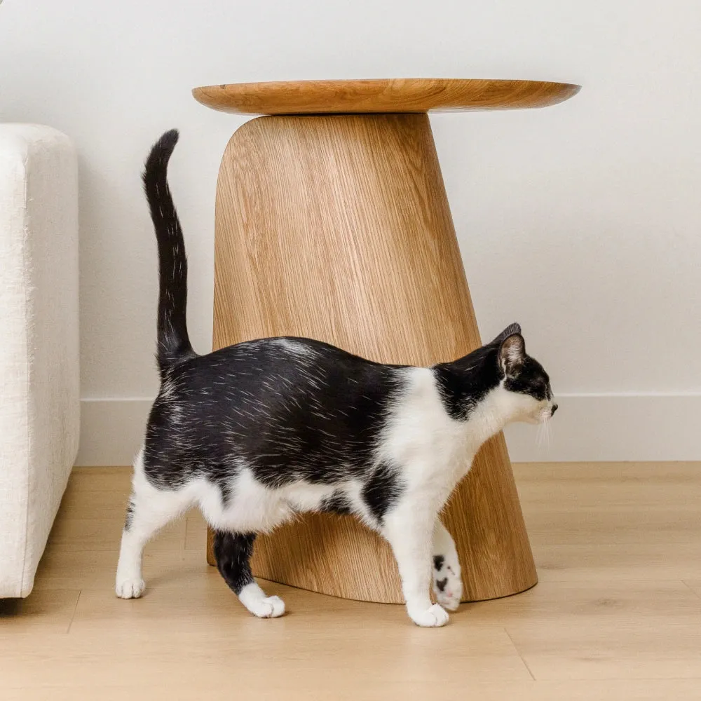 Kona Scratcher