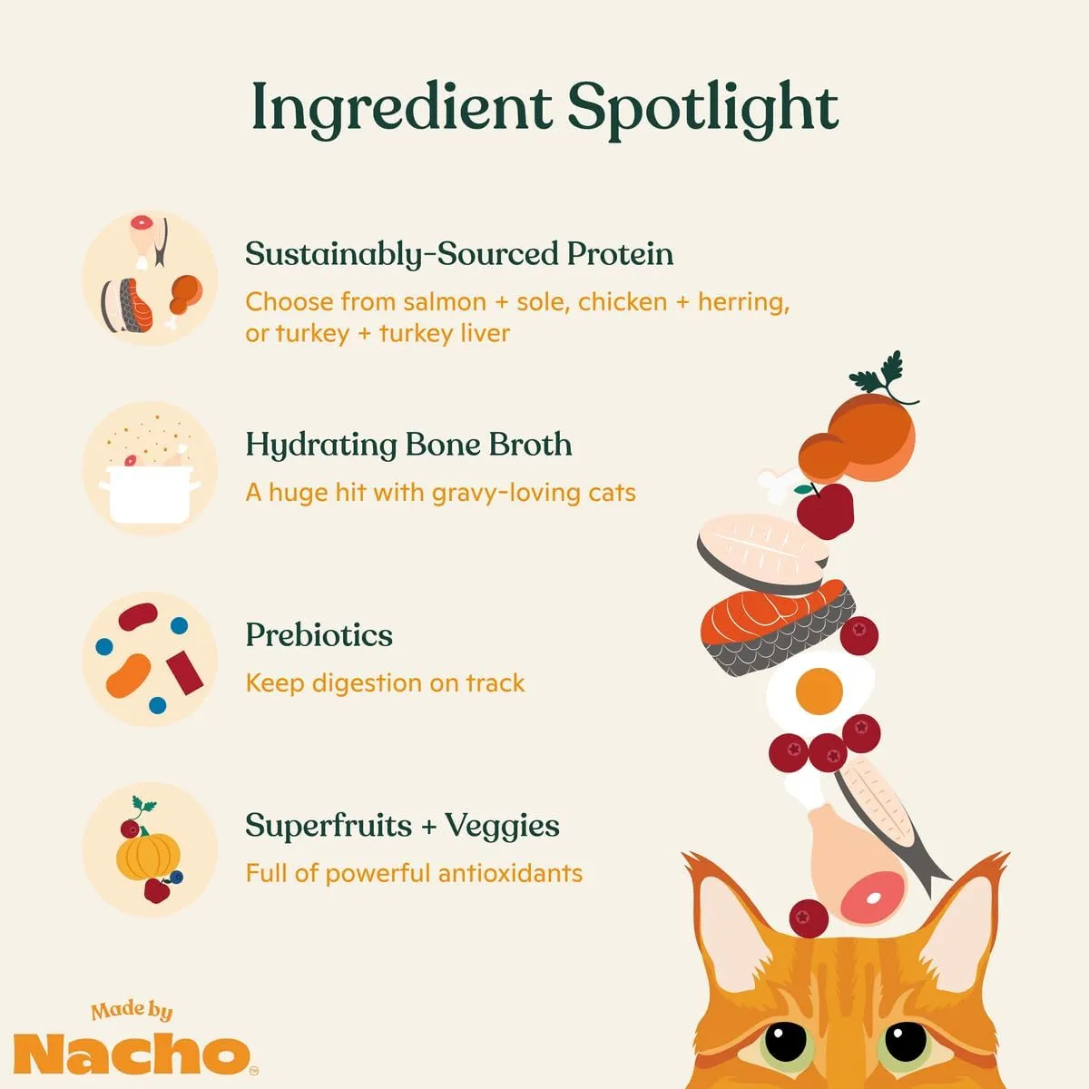 Made by Nacho Premium Wet Cat Food Grain-Free Pate Cans, 12 Pack, (Chicken, Salmon, and Turkey) (Pate Variety Pack, 5.5 Ounce), Limited Ingredients