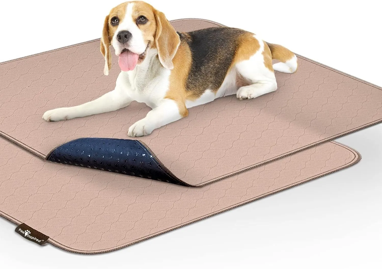 Paw Inspired Washable Pee Pads for Dogs (2 Pack) | Leakproof, Non-Slip Reusable Puppy Pads for Potty Training, Whelping, Waterproof Mat (32x30 Size, Pack of 2)