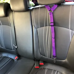 Pet Collar Pet Products Universal Practical Cat Dog Safety Adjustable Car Seat Belt Harness Leash Puppy Seat-Belt Travel Clip Strap Leads (Purple)