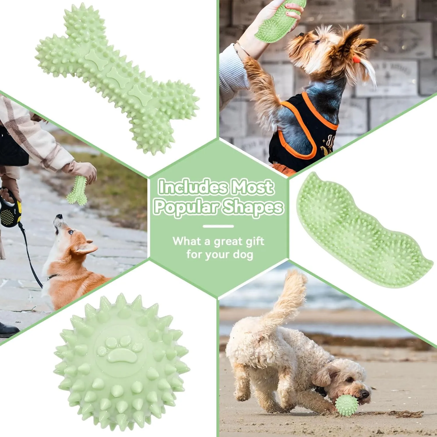 Petcare 6 Pack Small Dog Toys for Small Breed, Cute Green Puppy Teething Toys, Rubber Chew Toys, Essentials to Keep Them Busy, Best Pet Birthday Dog Toys