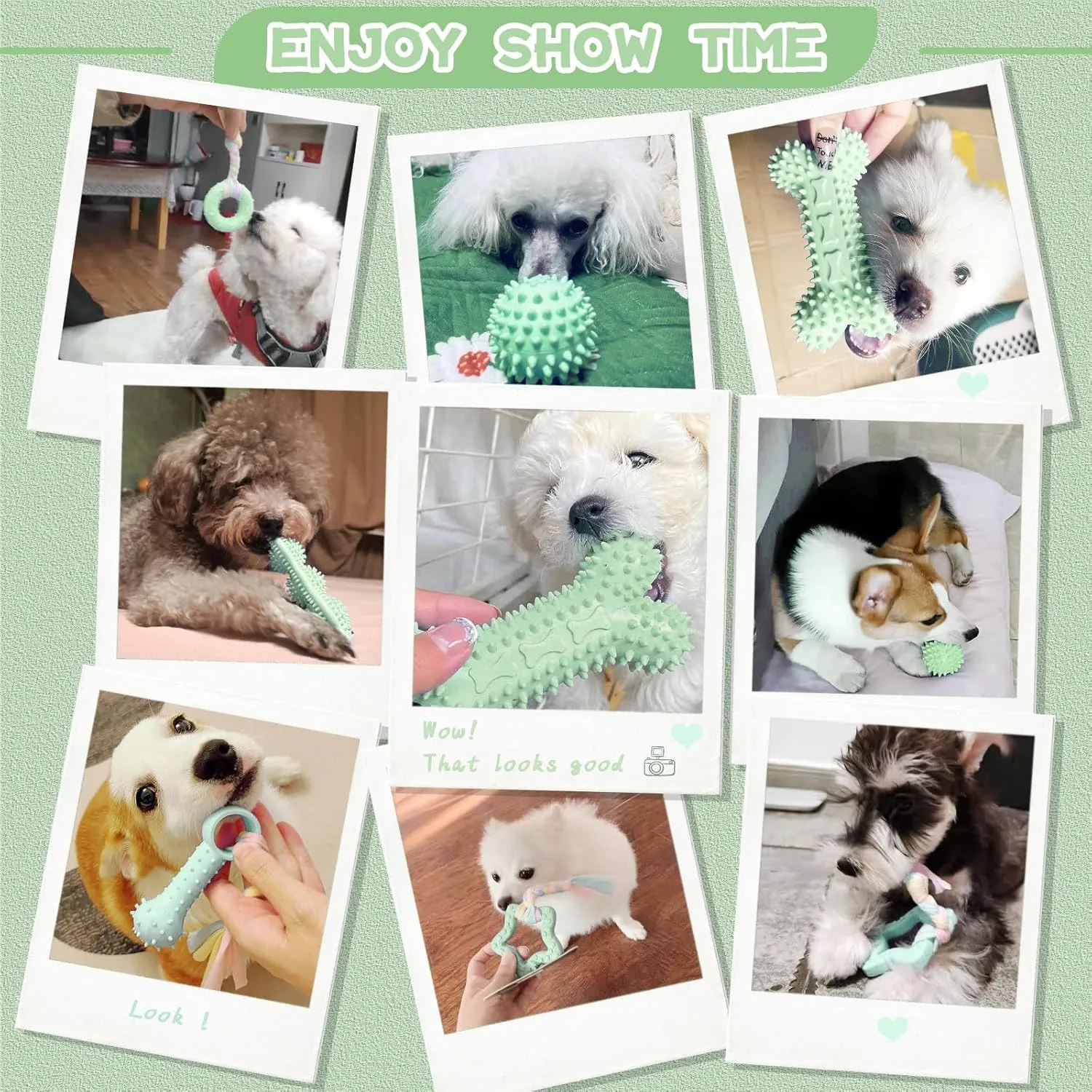 Petcare 6 Pack Small Dog Toys for Small Breed, Cute Green Puppy Teething Toys, Rubber Chew Toys, Essentials to Keep Them Busy, Best Pet Birthday Dog Toys