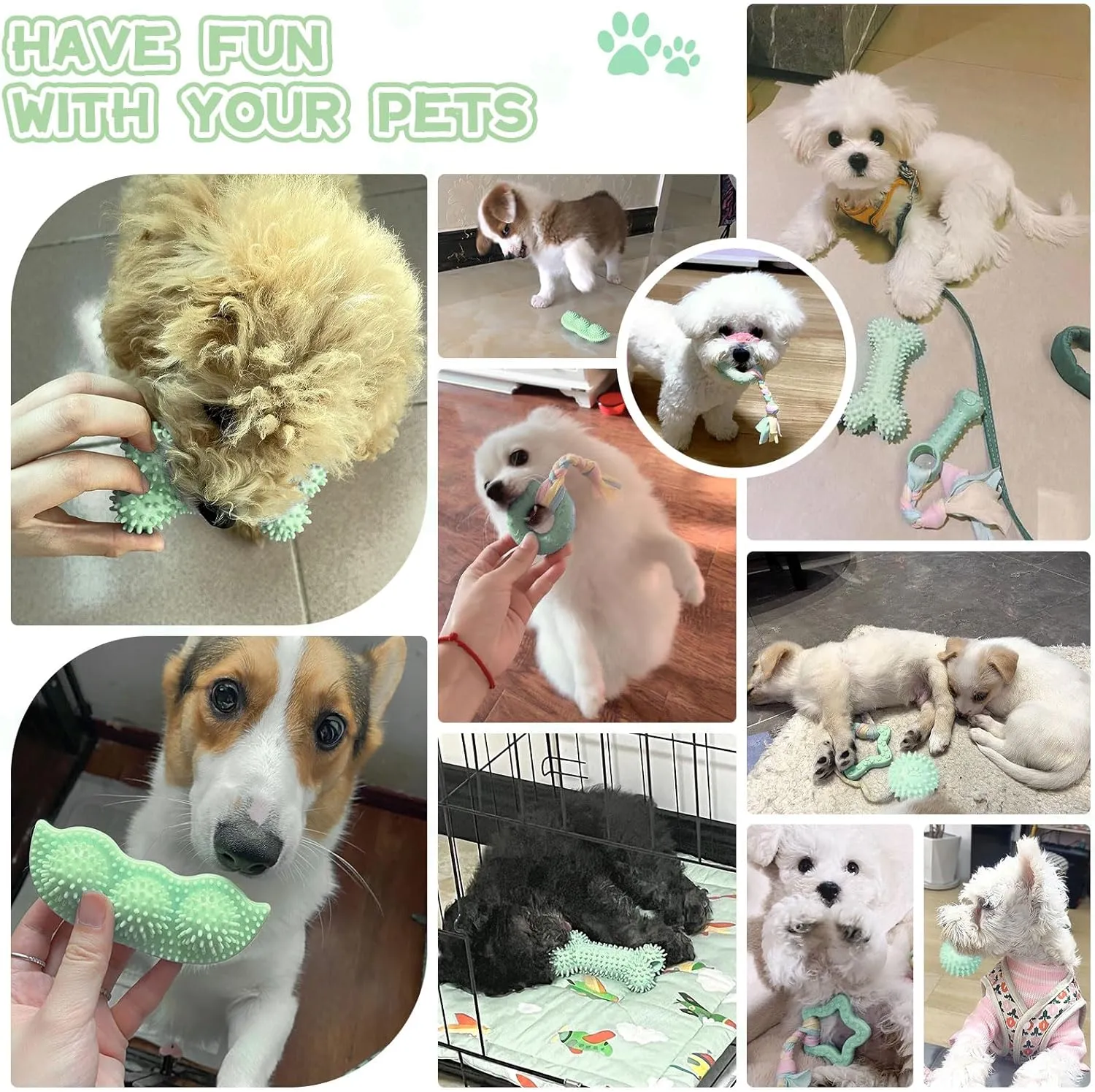 Petcare 6 Pack Small Dog Toys for Small Breed, Cute Green Puppy Teething Toys, Rubber Chew Toys, Essentials to Keep Them Busy, Best Pet Birthday Dog Toys