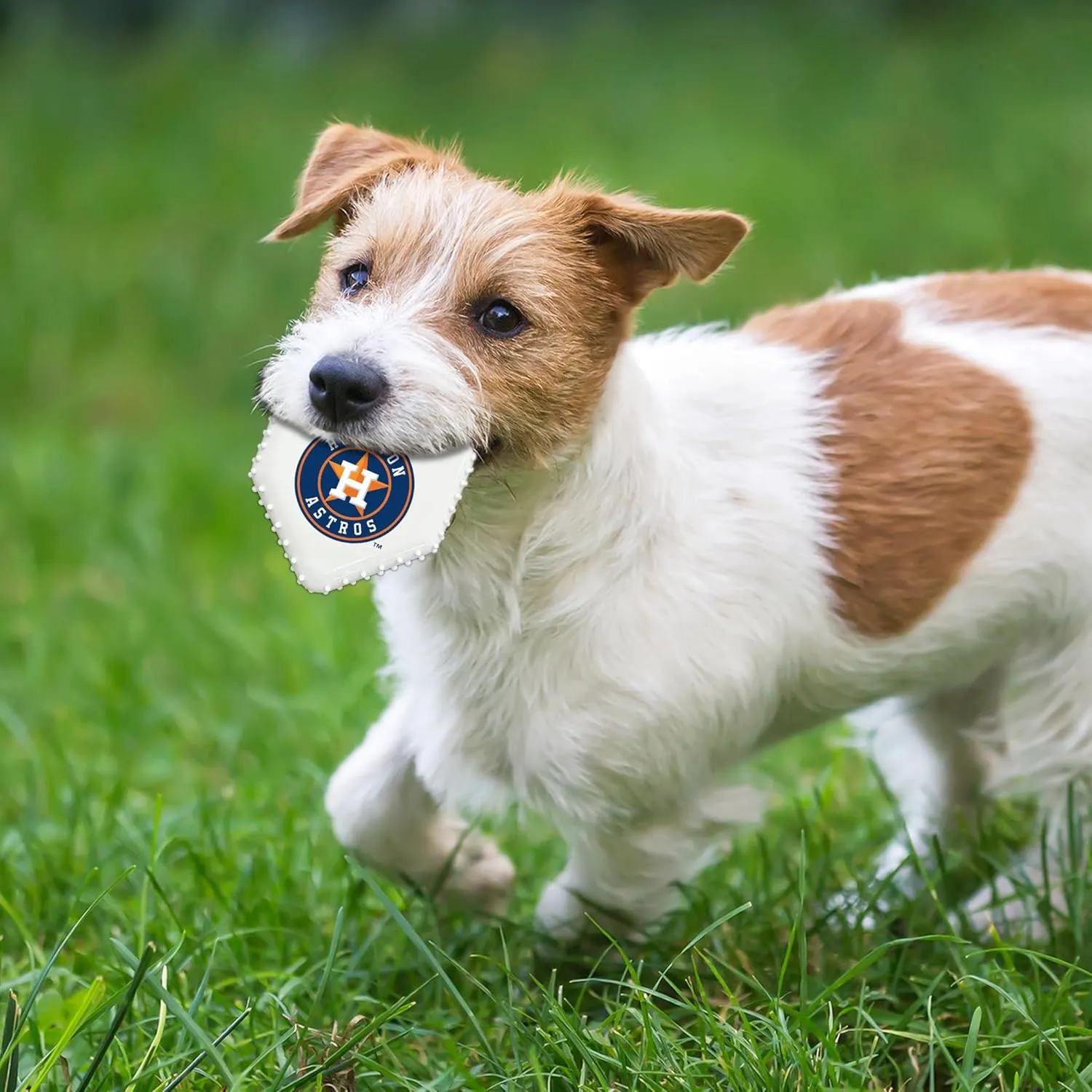 Pets First MLB ,,,