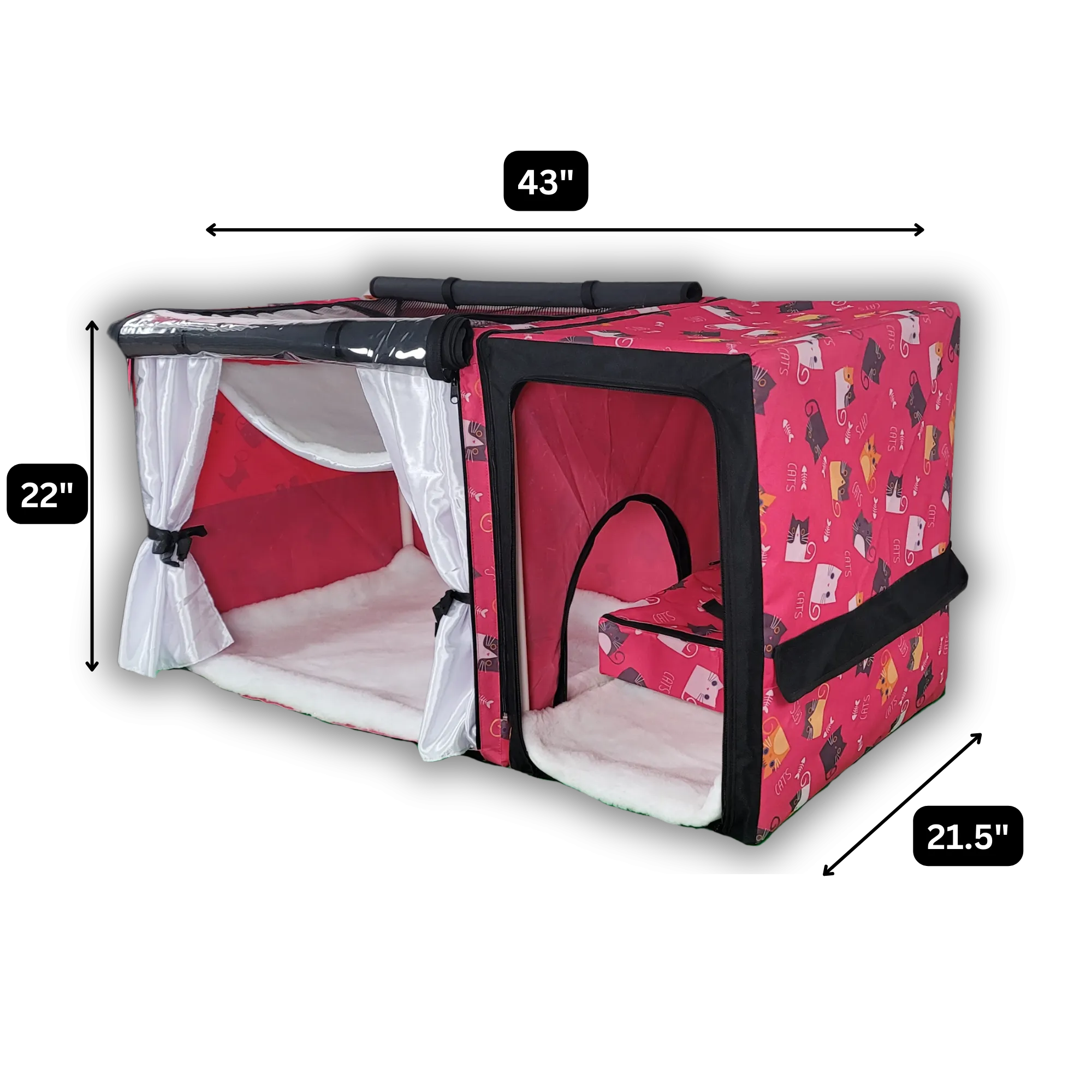 Show Cage (Green Paisley)