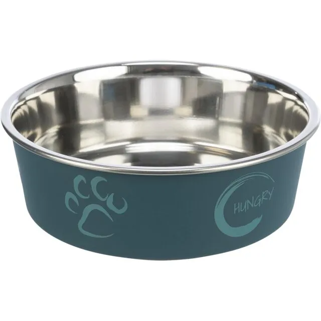 Stainless Steel Bowl with Plastic Coating