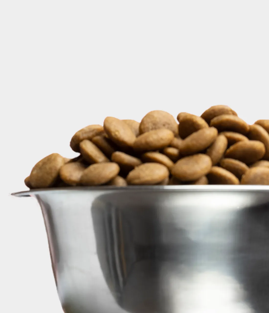 Steal meal bowl