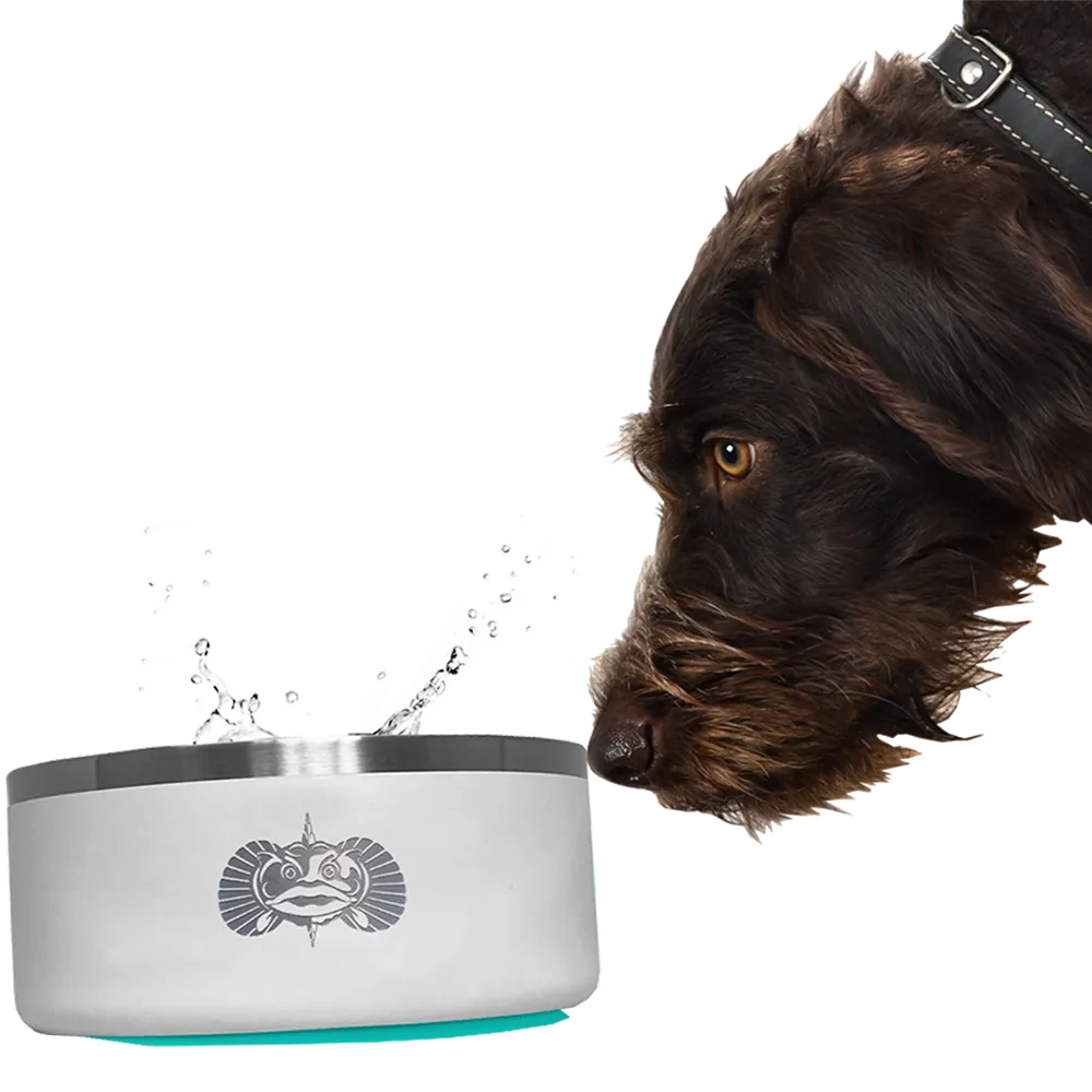 Toadfish Non-Tipping Dog Bowl Teal