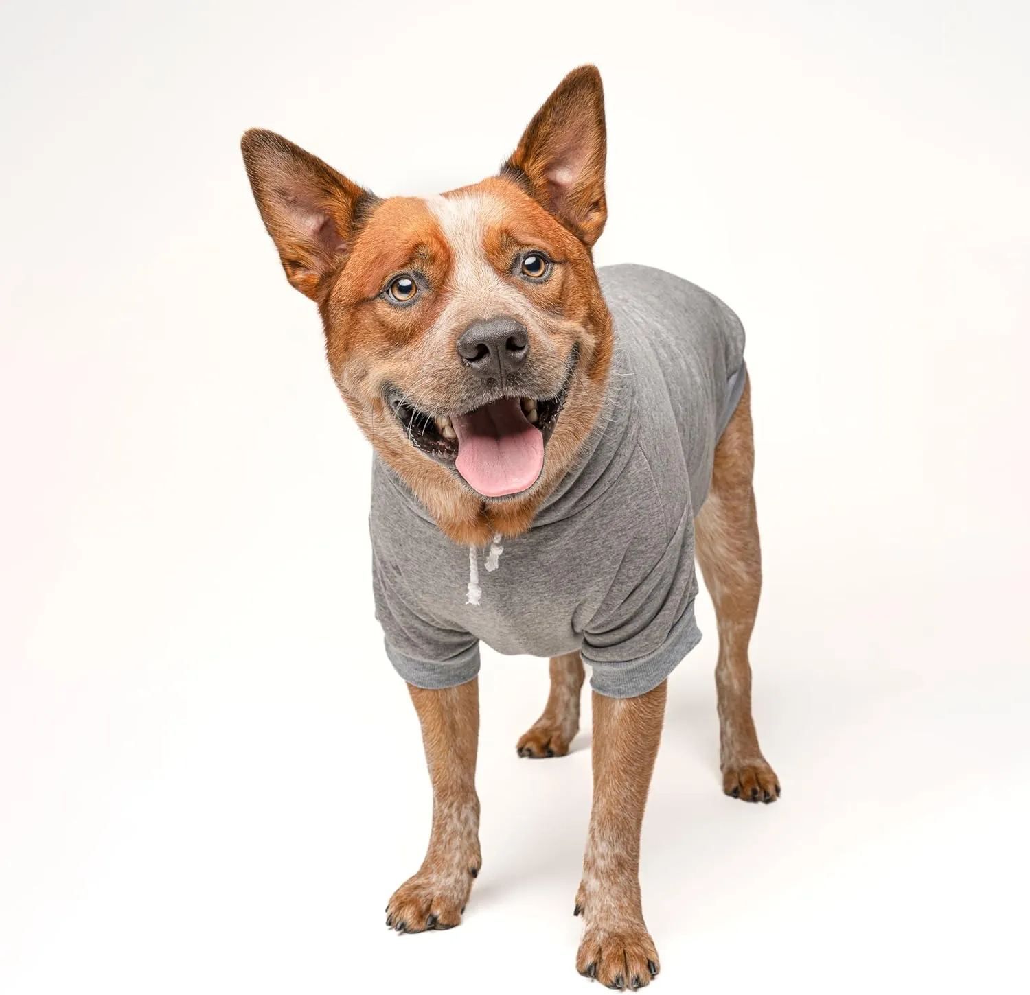Two Moms are Better Than One Mother's Day Dog Hoodie | Fleece Lined |Leash Hole| Pride Day | LGBTQ  | Rainbow | Parade|Grey, Medium 322