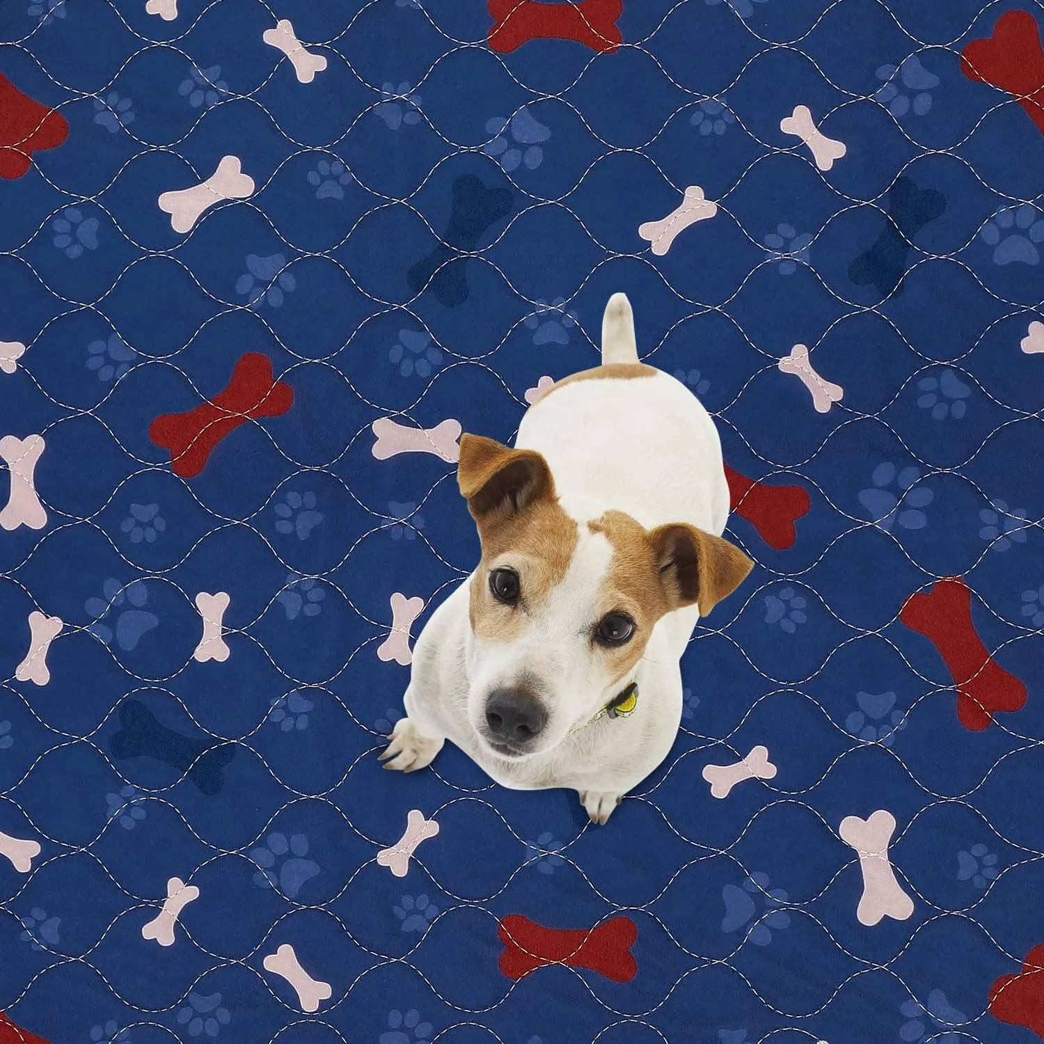 Washable Pee Pads for Dogs   Pet Grooming Gloves - Waterproof & Non-Slip Fast Absorbing Puppy Potty Training Pads,Reusable Whelping Pads, Pee Pad for Guinea Pig Cage,Dog Playpen Mat