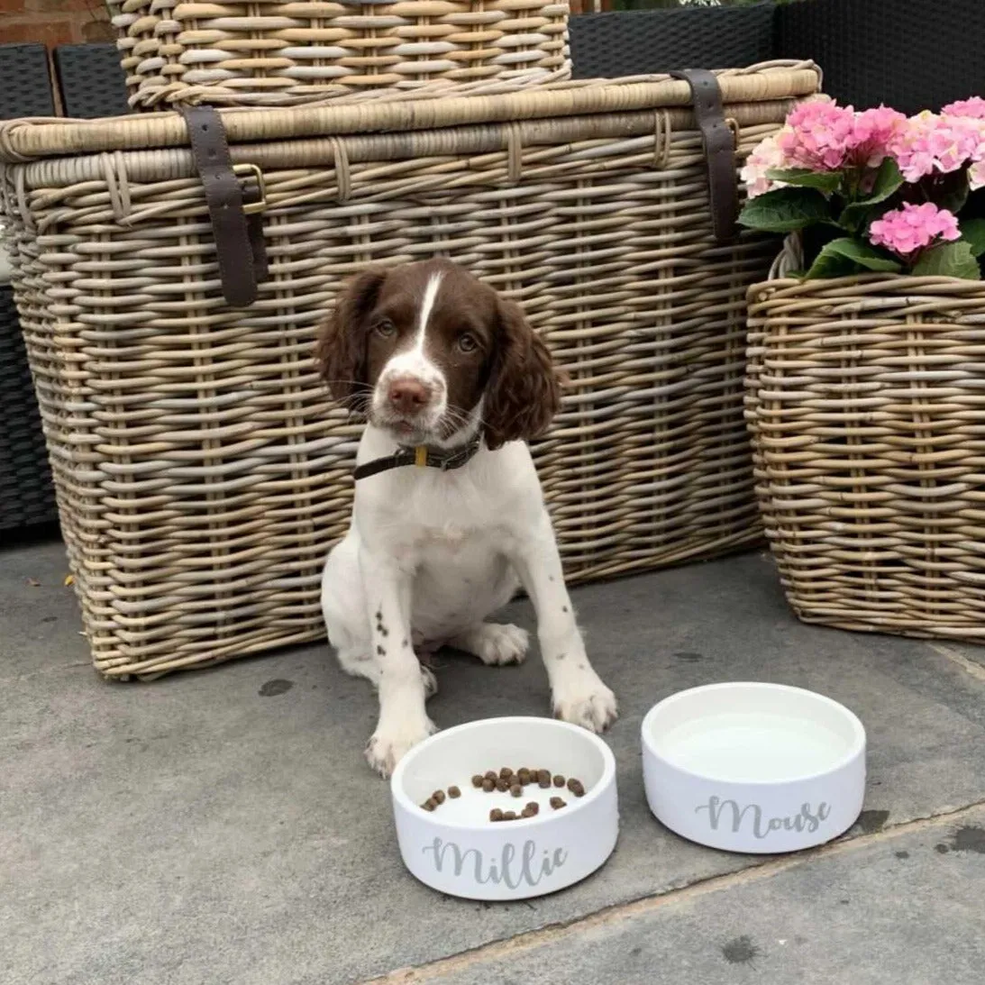White Ceramic Personalised Dog Bowl and Cat Bowl