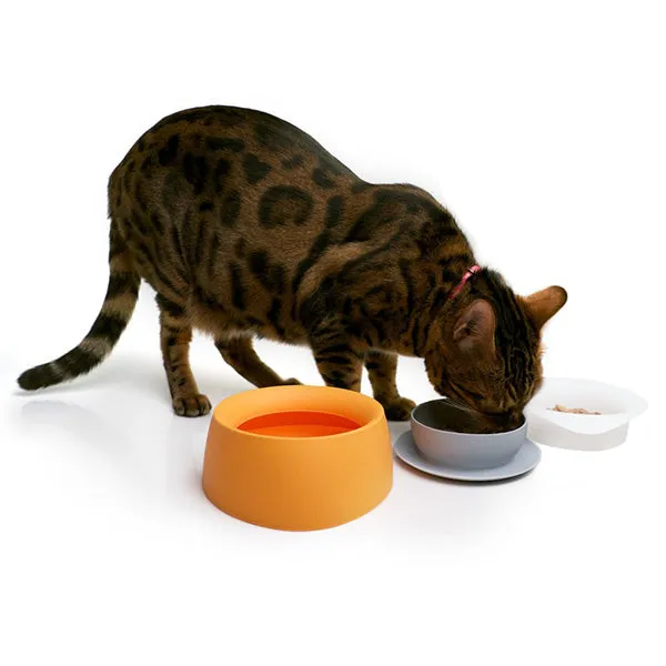 Yummy Travel Pet Bowl (Mango Tango)